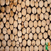 Tranh dán tường Hàn Quốc 3d khổ lớn ở Hà Nội NA - 055